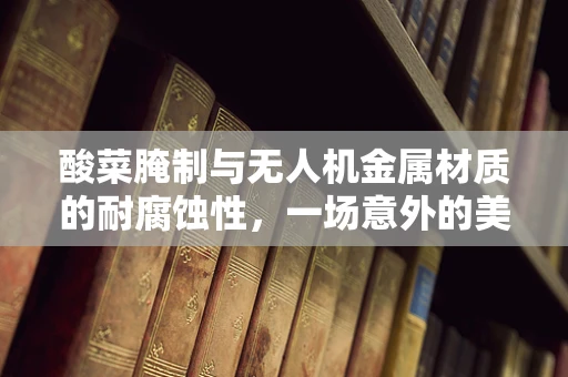 酸菜腌制与无人机金属材质的耐腐蚀性，一场意外的美食考验