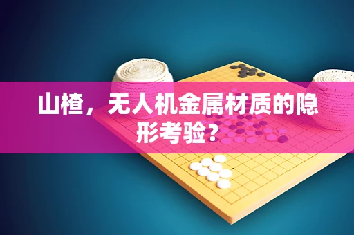 山楂，无人机金属材质的隐形考验？