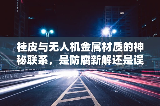 桂皮与无人机金属材质的神秘联系，是防腐新解还是误解？